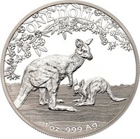 1 Dollar reverse