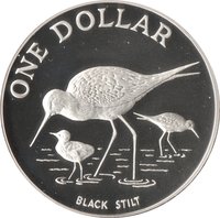 1 Dollar reverse