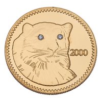 1000 Tögrög reverse