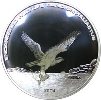 500 Tögrög reverse