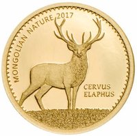 1000 Tögrög reverse