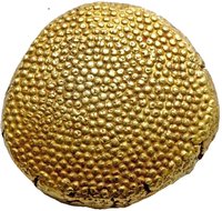 3 Rupees, 15 Annas and 5 Paisas reverse