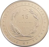 15 Lira obverse