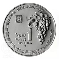 1 New Sheqel obverse