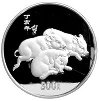 300 Yuan reverse