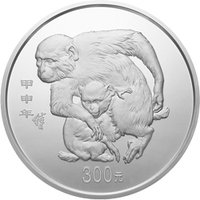 300 Yuan reverse
