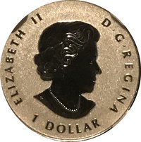1 Dollar obverse