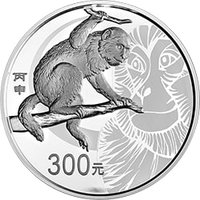 300 Yuan reverse
