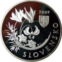 20 Euro obverse