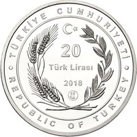20 Lira obverse