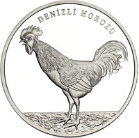 20 Lira reverse