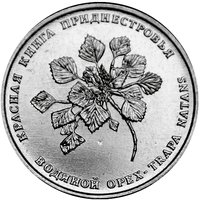 1 Ruble reverse