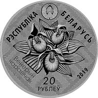 20 Rubles obverse