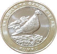1 Kuruş reverse