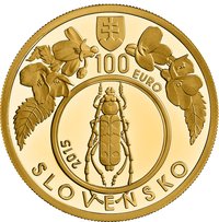 100 Euros obverse