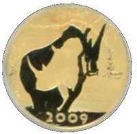 10 Rand obverse