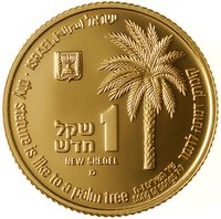 1 New Sheqel obverse