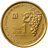 1 New Sheqel obverse
