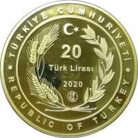 20 Lira obverse