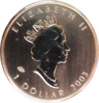 1 Dollar obverse