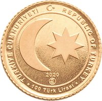 100 Lira obverse