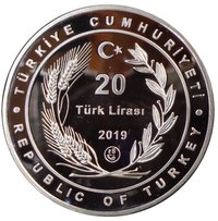 20 Lira obverse