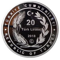 20 Lira obverse