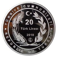 20 Lira obverse