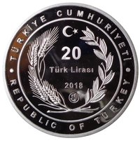 20 Lira obverse