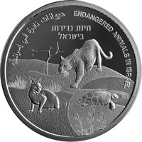 1 New Sheqel reverse