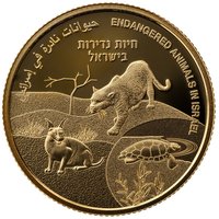 10 New Sheqalim reverse