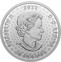 20 Dollars obverse