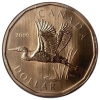 1 Dollar reverse