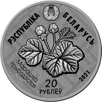 20 Rubles obverse