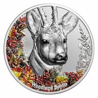 500 Tögrög reverse