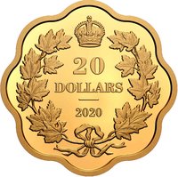 20 Dollars reverse
