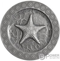 2000 Francs CFA obverse