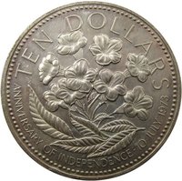 10 dollars reverse