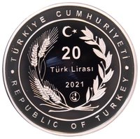 20 Lira obverse