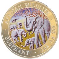 100 Shillings reverse