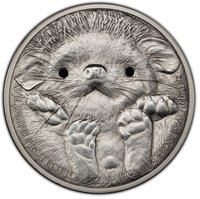 500 Tögrög reverse