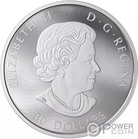 30 Dollars obverse