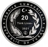 20 Lira obverse