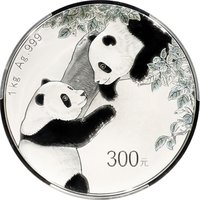 300 Yuan reverse