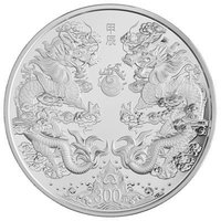 300 Yuan reverse