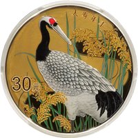 30 Yuan reverse