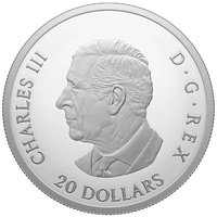 20 Dollars obverse