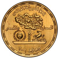5 pounds reverse