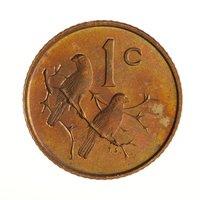 1 Cent reverse