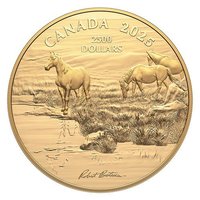 2500 Dollars reverse